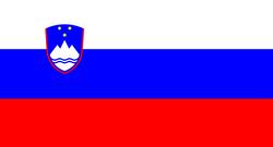 Pakke fra Slovenien til Danmark 0-25 Kg